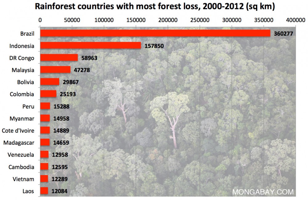rainforestcountrieswithmostdeforestation Industry Tap