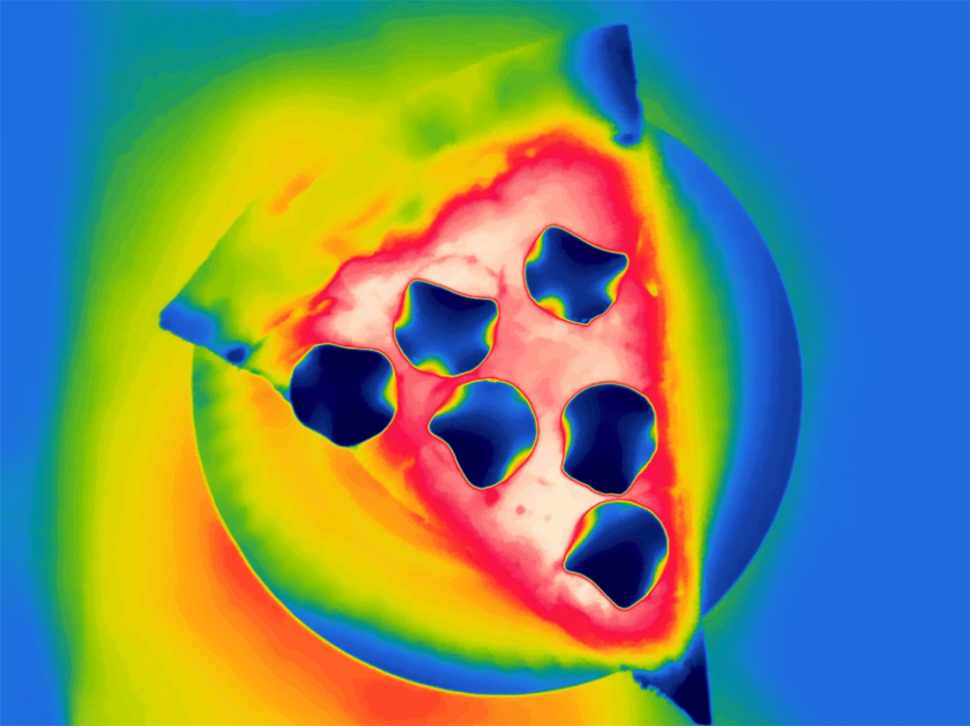 Radiometric Thermal Camera Captures All Your Favorite Foods In Their