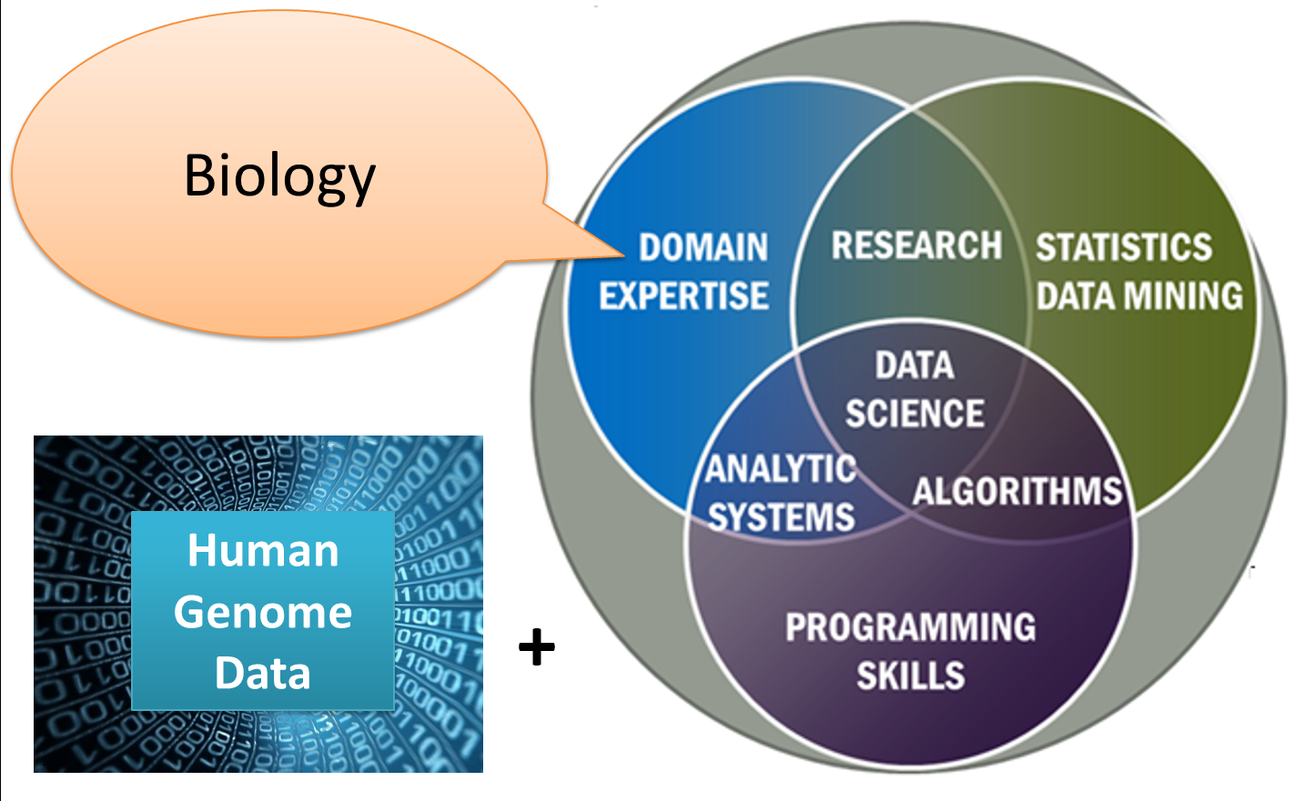 research project topics related to bioinformatics