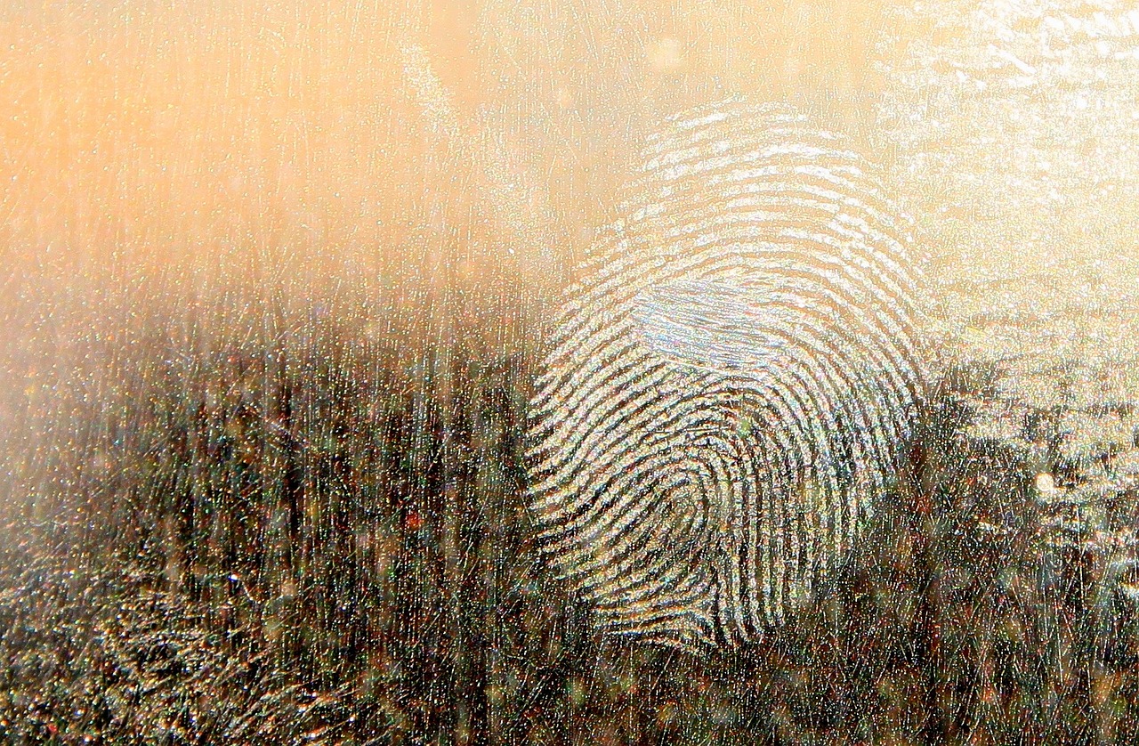 Forensic Microbiology: How Clothing Becomes a Microbial Fingerprint