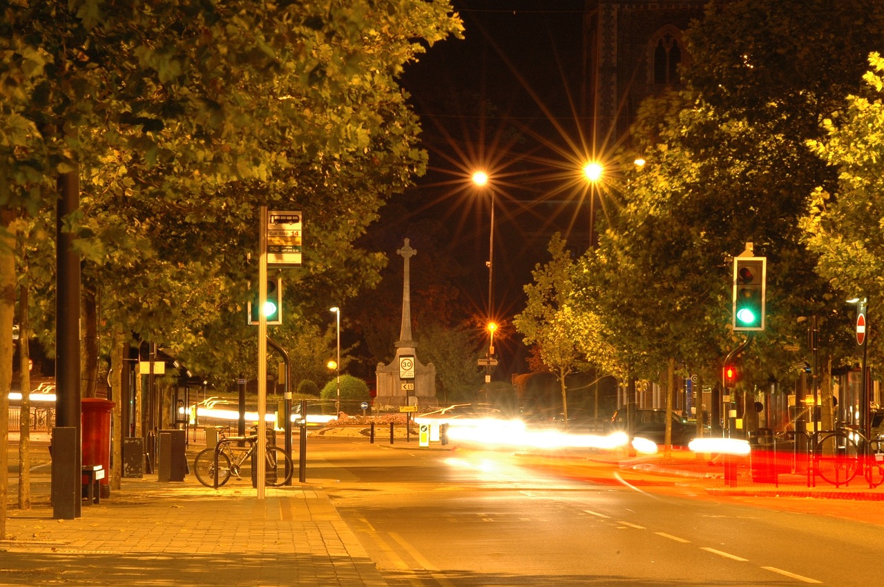 The Dark Side of City Lights: Tougher Tree Leaves and Disrupted Ecosystems