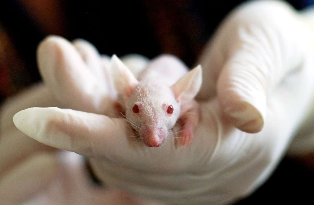 Unveiling the Invisible: Mice Turn Transparent in Stunning Scientific Breakthrough