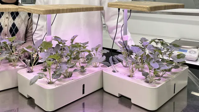 A New Device for Ultra-Clean Water: A Boon for Hydroponics and Sustainable Agriculture